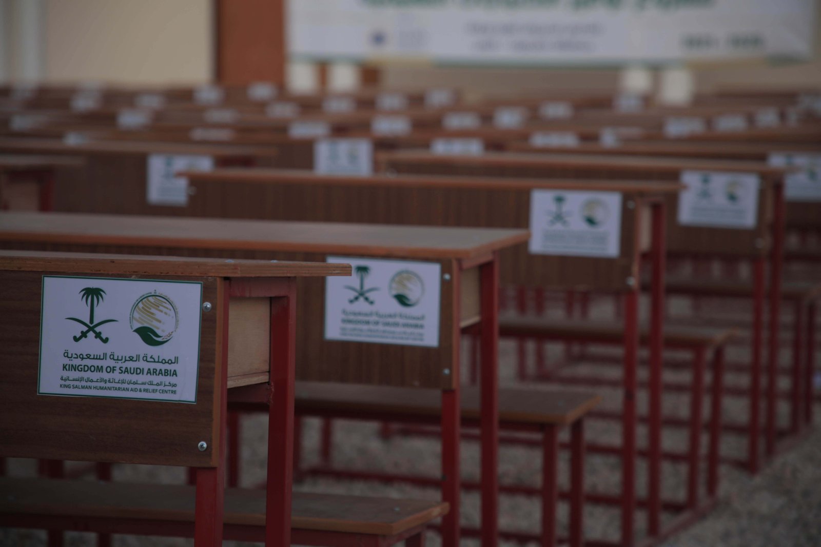 صورة من المعرض 11