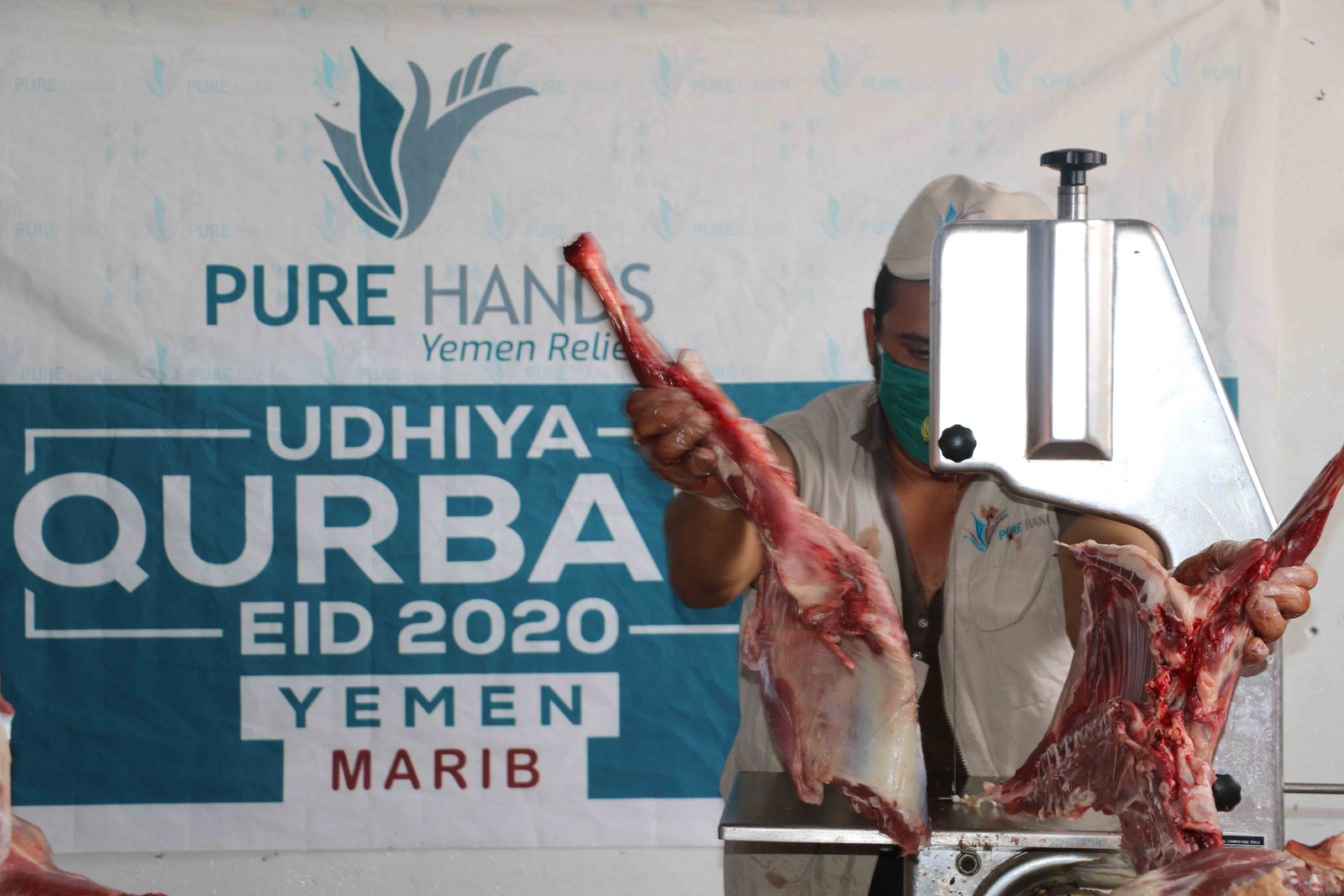 صورة من المعرض 4