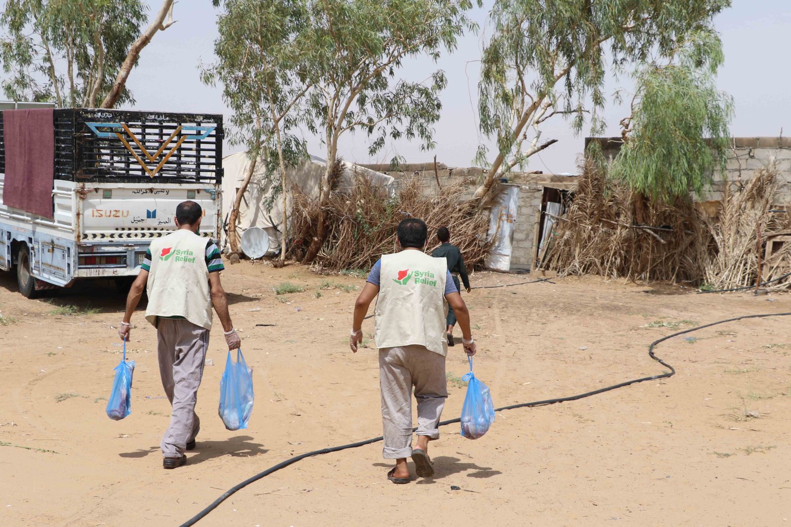 صورة من المعرض 3