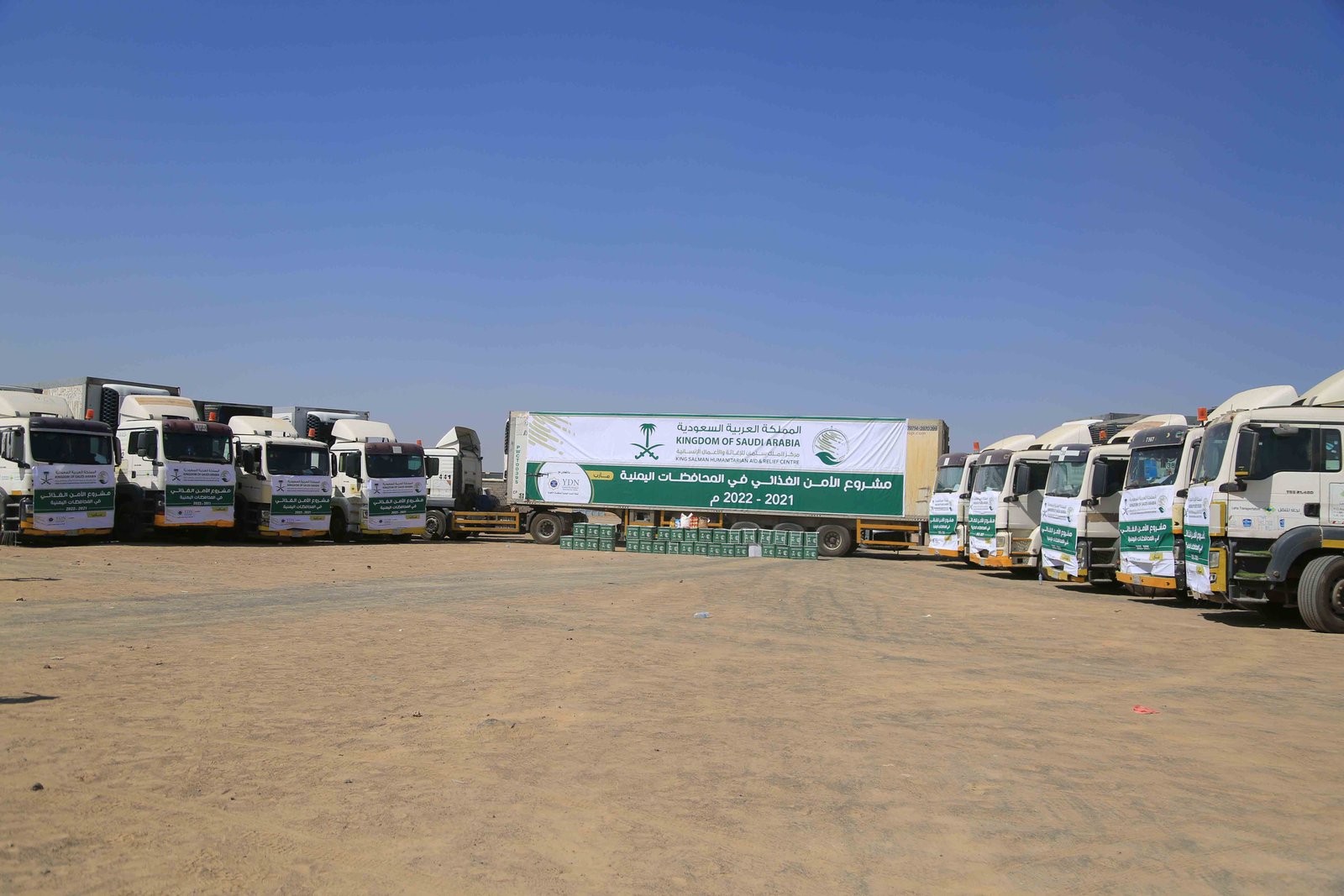 صورة من المعرض 8