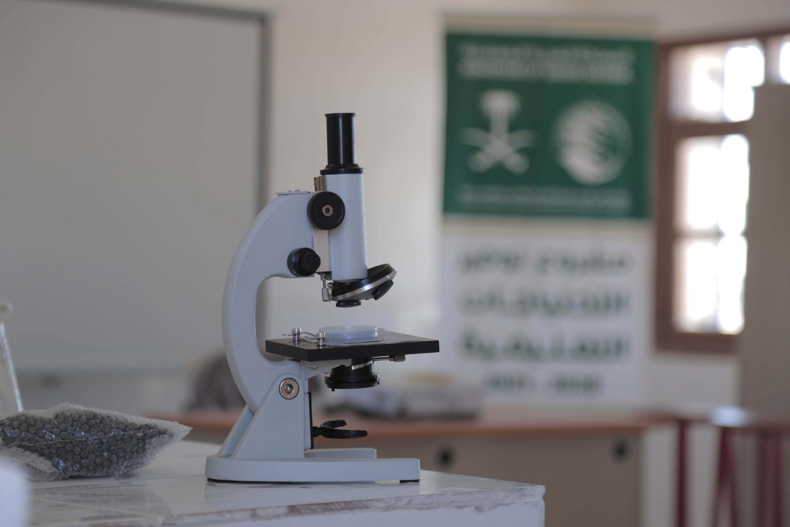 صورة من المعرض 2