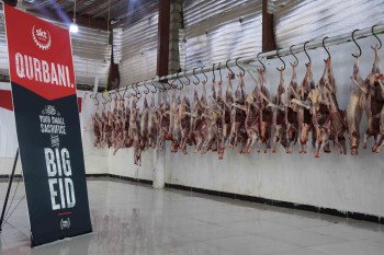 صورة مشروع: مشروع توزيع الأضاحي