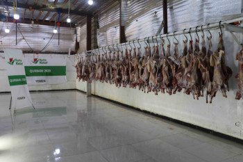 صورة مشروع: مشروع توزيع الأضاحي