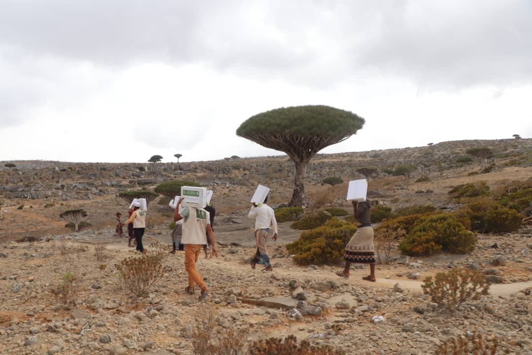 صورة من المعرض 7