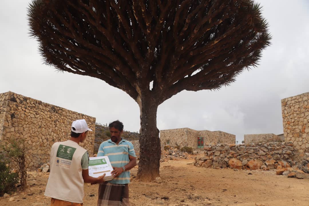 صورة من المعرض 6